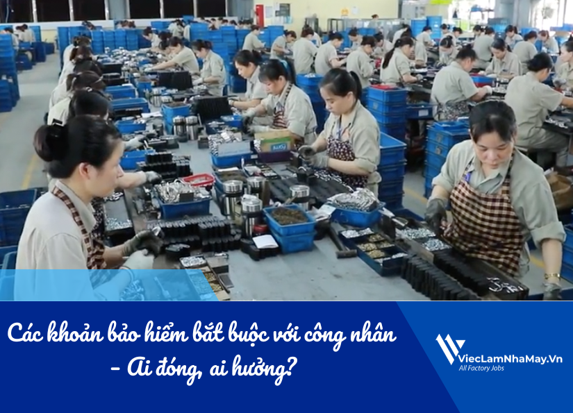 các khoản bảo hiểm bắt buộc với công nhân: ai đóng, ai hưởng