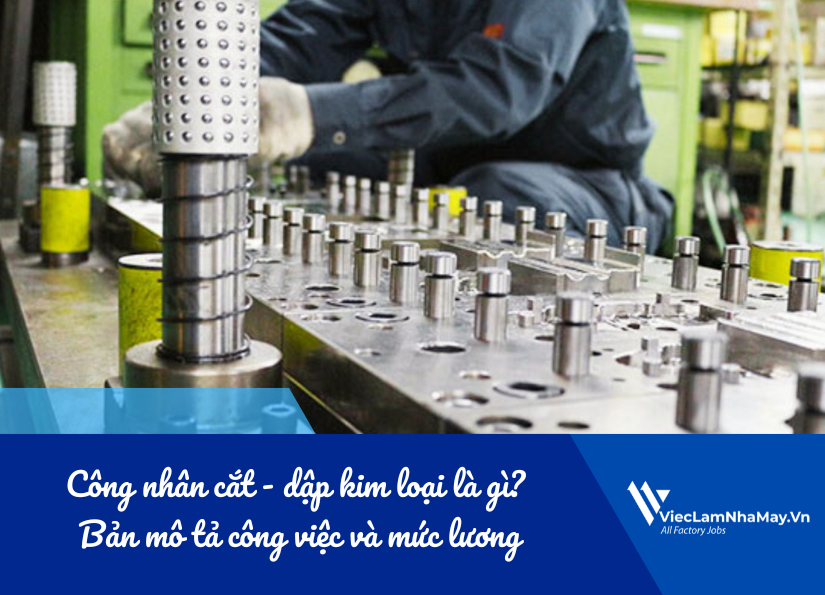 công nhân cắt - dập kim loại là gì