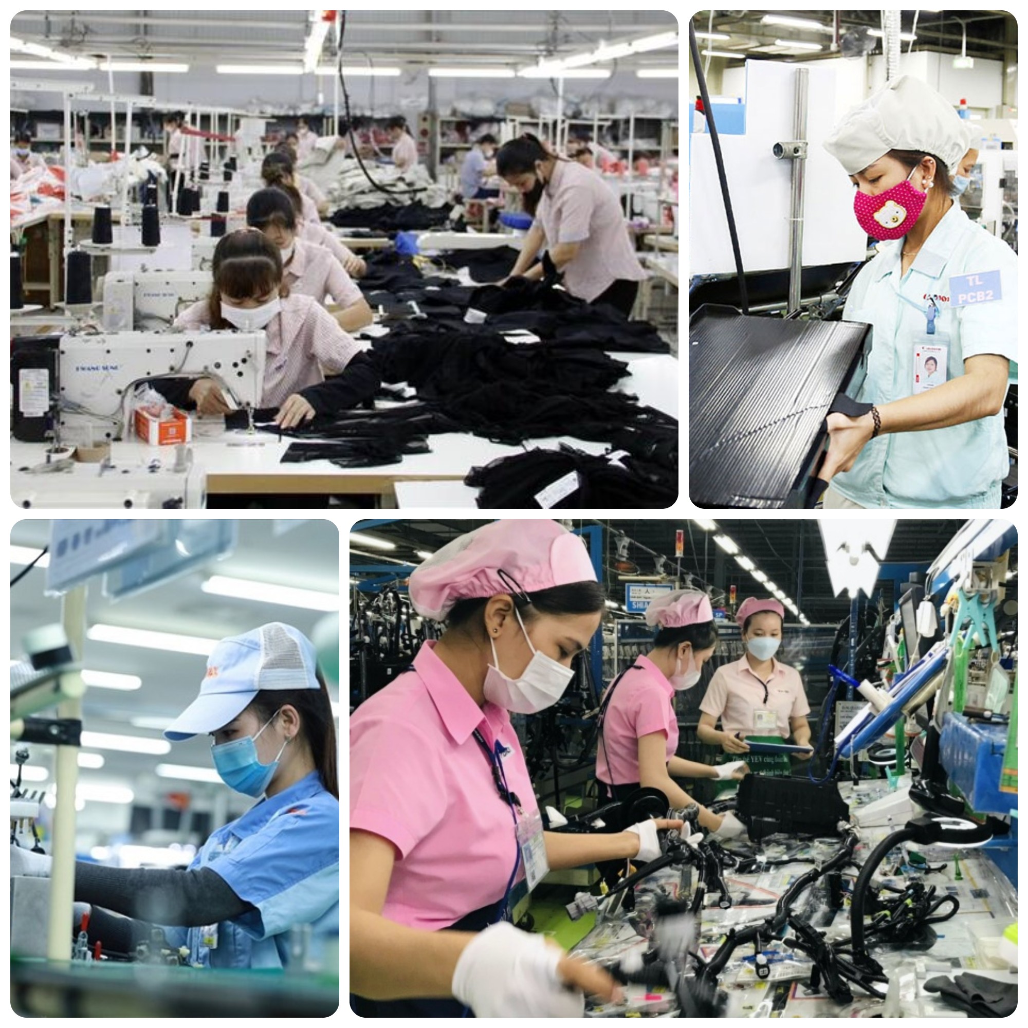 "đội tiền lên đầu"... rồi có hối tiếc điều gì không?