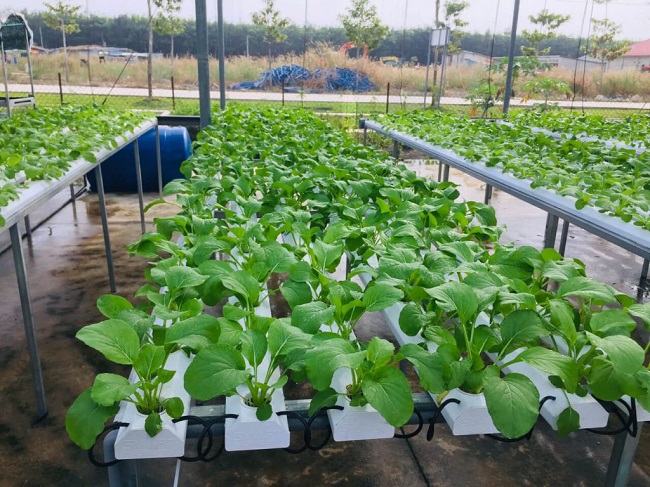 gọi tên 20 xu hướng kinh doanh sẽ là hot trend 2021