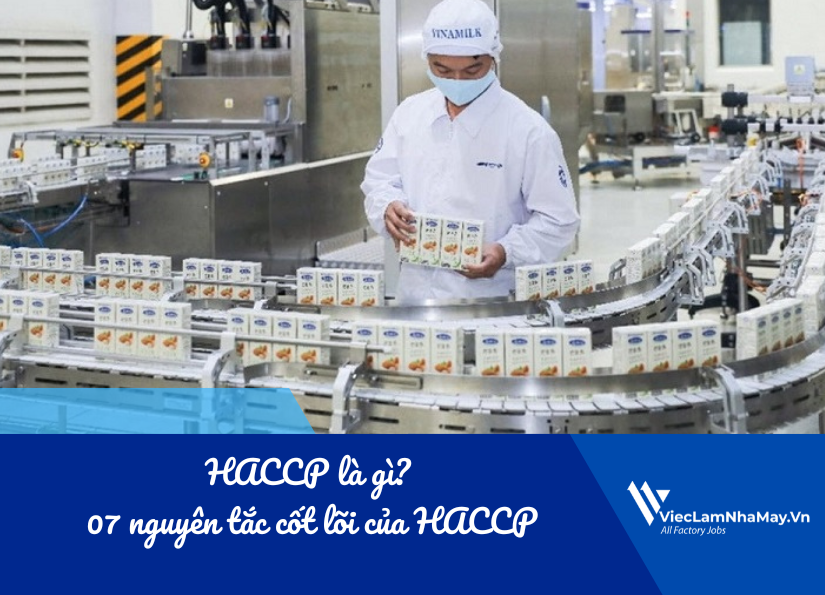 haccp là gì