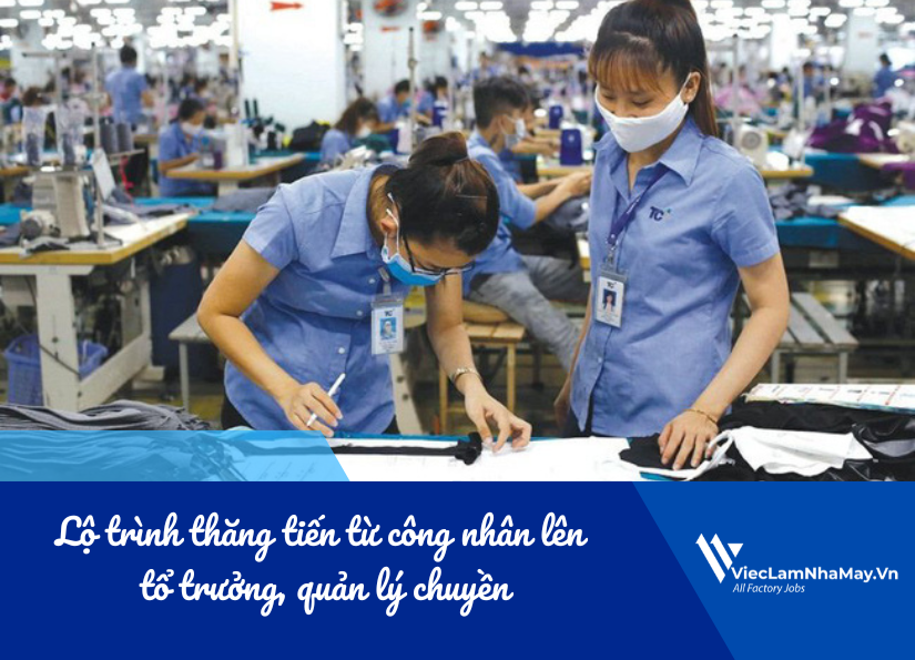 lộ trình thăng tiến từ công nhân lên tổ trưởng