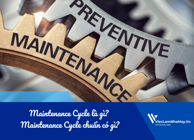 maintenance cycle là gì