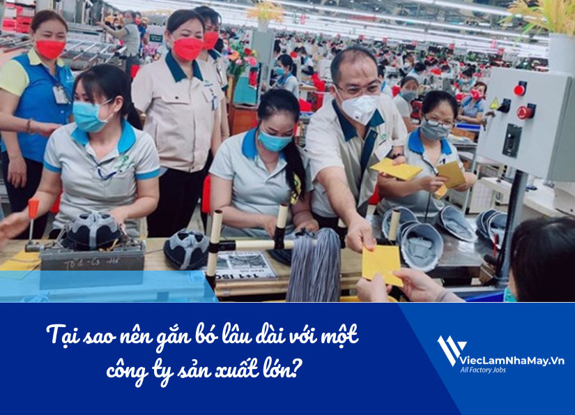 tại sao nên gắn bó lâu dài với công ty sản xuất lớn