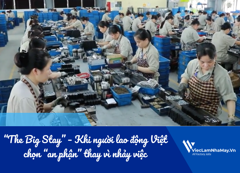 "the big stay" - khi người lao động việt chọn "an phận" thay vì nhảy việc