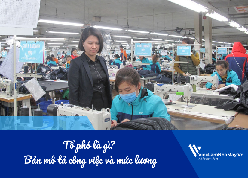 tổ phó là gì - mô tả công việc và mức lương