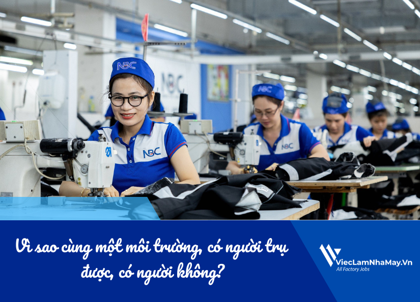 vì sao cùng một môi trường, có người trụ được, người không