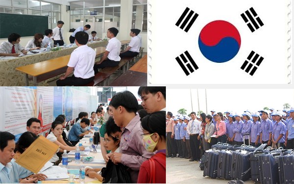 Tiêu chuẩn tiếng Hàn đi xuất khẩu lao động