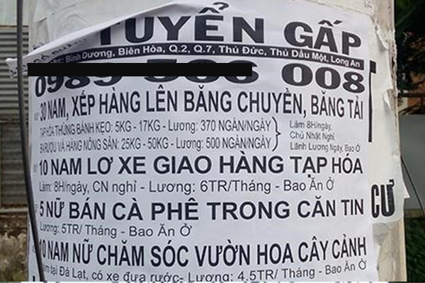 6 Kinh nghiệm vàng giúp bạn tìm việc thời vụ Tết uy tín