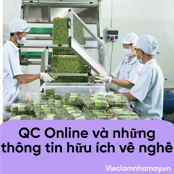QC Online và những thông tin hữu ích về nghề
