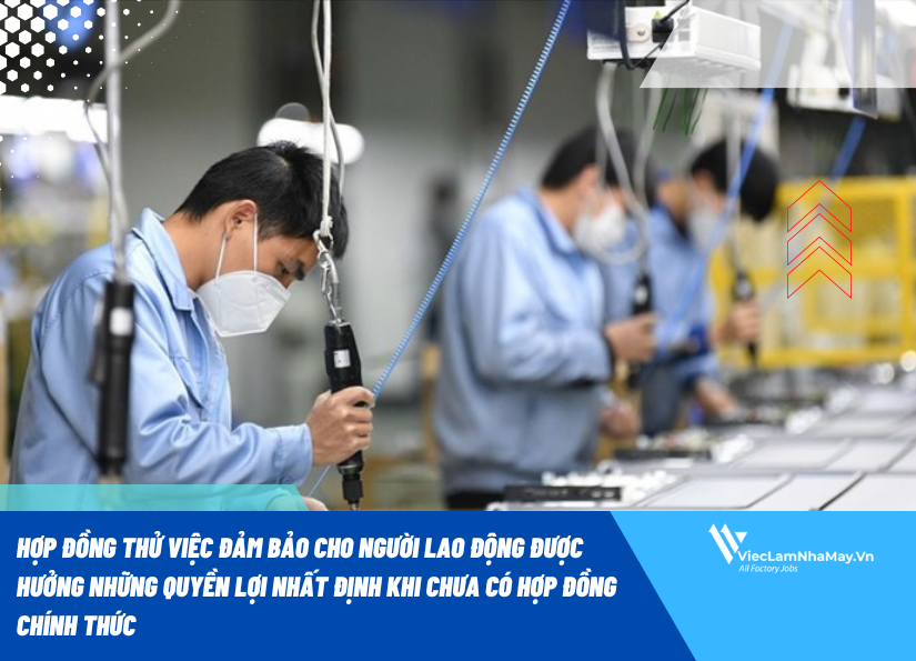 05 nội dung NLD cần lưu ý trước khi đặt bút ký hợp đồng thử việc 