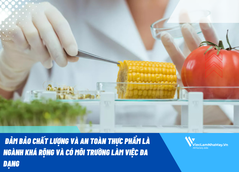 Ngành đảm bảo chất lượng và an toàn thực phẩm là gì?