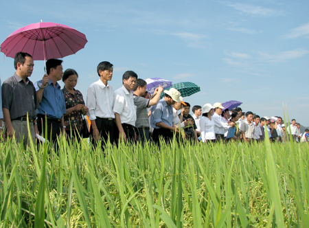 ngành trồng trọt