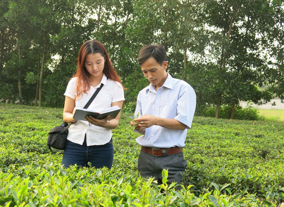 ngành trồng trọt