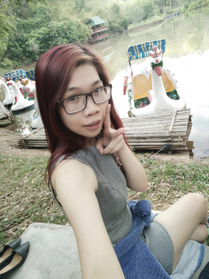 cover CV: Trần Trung Hồng Huê