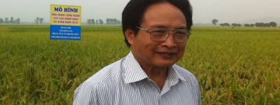 Chuyện về người kỹ sư bán nhà Hà Nội để đầu tư làm lúa