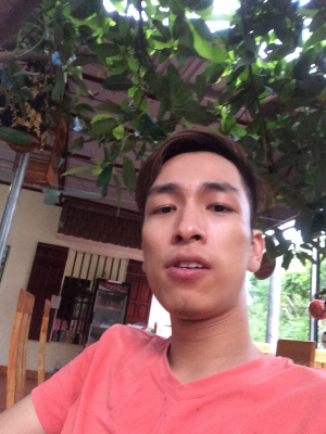 cover CV: Mai Anh Tùng