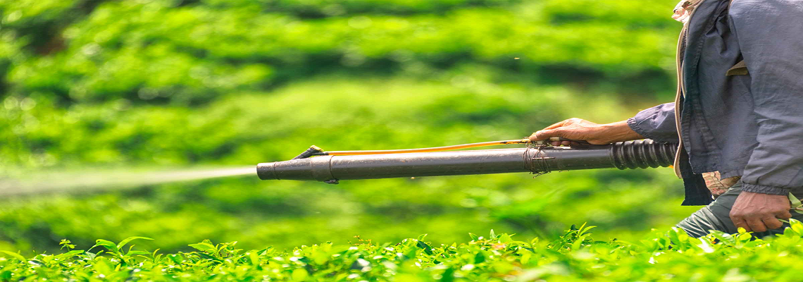 Công ty TNHH World Vision (VN)