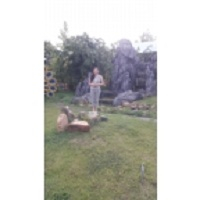 cover CV: Đinh Thị Hồng