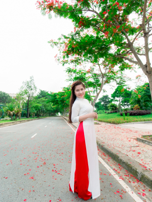 cover CV: Lê Thị Quỳnh Anh