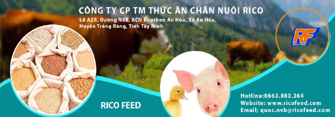 Công ty Cổ phần Thức ăn chăn nuôi RICO Tây Ninh
