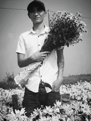 cover CV: Vũ Duy Hải