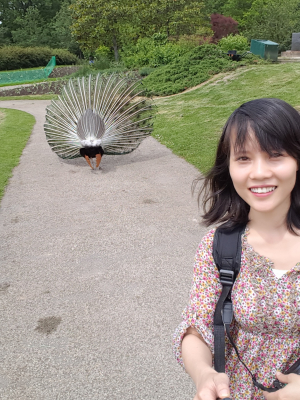 cover CV: Nguyễn Thị Thùy Dung