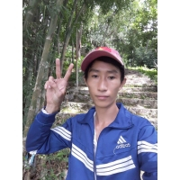 cover CV: Tô Anh Anh