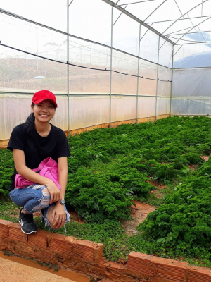 cover CV: Nguyễn Thị Hoàng Dung