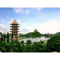 cover CV: Võ Ngọc Phương Thảo