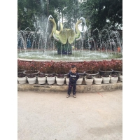 cover CV: Nguyễn Văn Lam