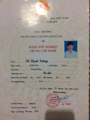 cover CV: Vũ Lạnh Vương