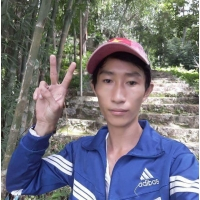 cover CV: Tô Anh Anh