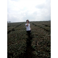 cover CV: Bùi Văn Vước