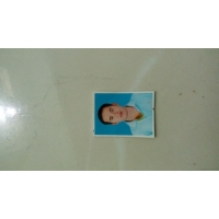 cover CV: Nguyễn Hải Hoàng