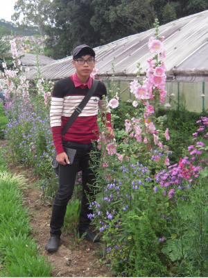 cover CV: Phạm Minh Tiến