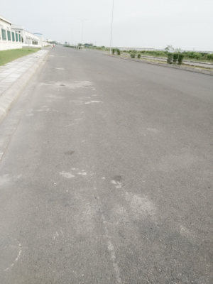 cover CV: Đặng Thị Liên 