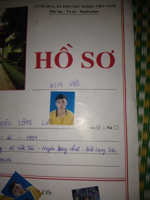 cover CV: Triệu Công Lưu