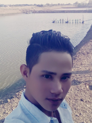 cover CV: Lê Ngọc Linh