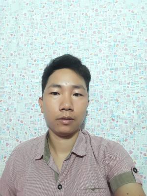 cover CV: Lê Phương Vũ