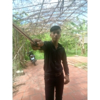 cover CV: Đổ Hoàng Em