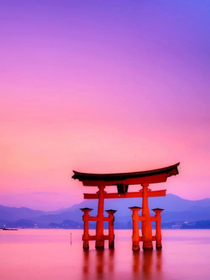 cover CV: Nguyễn Thị Yến Linh