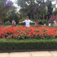 cover CV: NGUYỄN VĂN TÈO