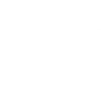 cover CV: Đỗ Trọng Sang