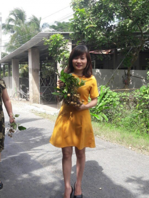 cover CV: Phạm Thị Anh