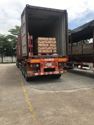 cover CV: Nguyễn Bá Hòa 