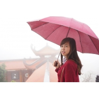 cover CV: Nguyễn Thị Diễm Trang