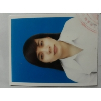 cover CV: Đinh Thùy Trang