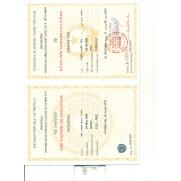 cover CV: Trần Nhật Tân