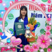 cover CV: Đỗ Thị Như Hảo